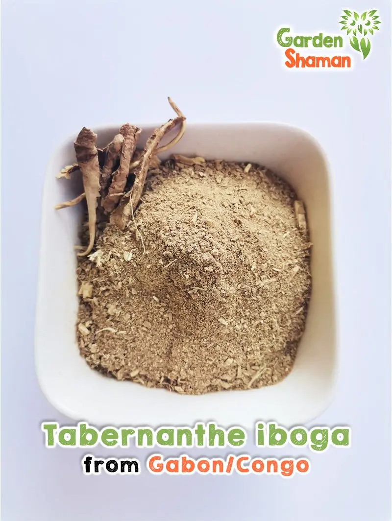 GardenShaman.eu - Tabernanthe iboga rootbark