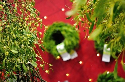 GardenShaman.eu Blog Advent wreath, Advent, Raunächte, incense
