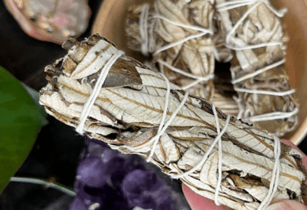 GardenShaman.eu Blog räuchern Räucherpflanzen incense smudge