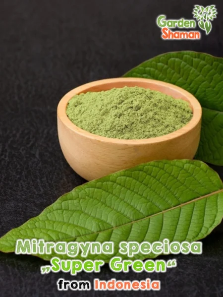 GardenShaman.eu - Kratom ground, Mitragyna speciosa powder, Supergreen