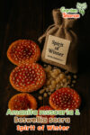 Amanita muscaria und Weihrauch Geschenkset – Spirit of Winter Edition