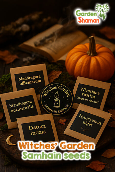 Witches’ Garden – Samhain Samenpaket mit Alraune, Bilsenkraut, Datura, Mapacho und Herbst-Alraune auf dunklem Holz mit Kürbis und Kerzenlicht