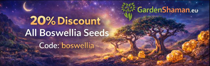 GardenShaman.eu Banner Boswellia