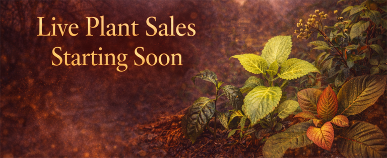 GardenShaman.eu Banner Live Plants sale 2026