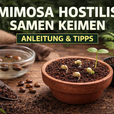 🌱 Kratom Samen keimen – Mitragyna speciosa erfolgreich anbauen